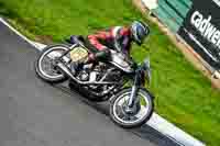 Silver_Grey Bikes